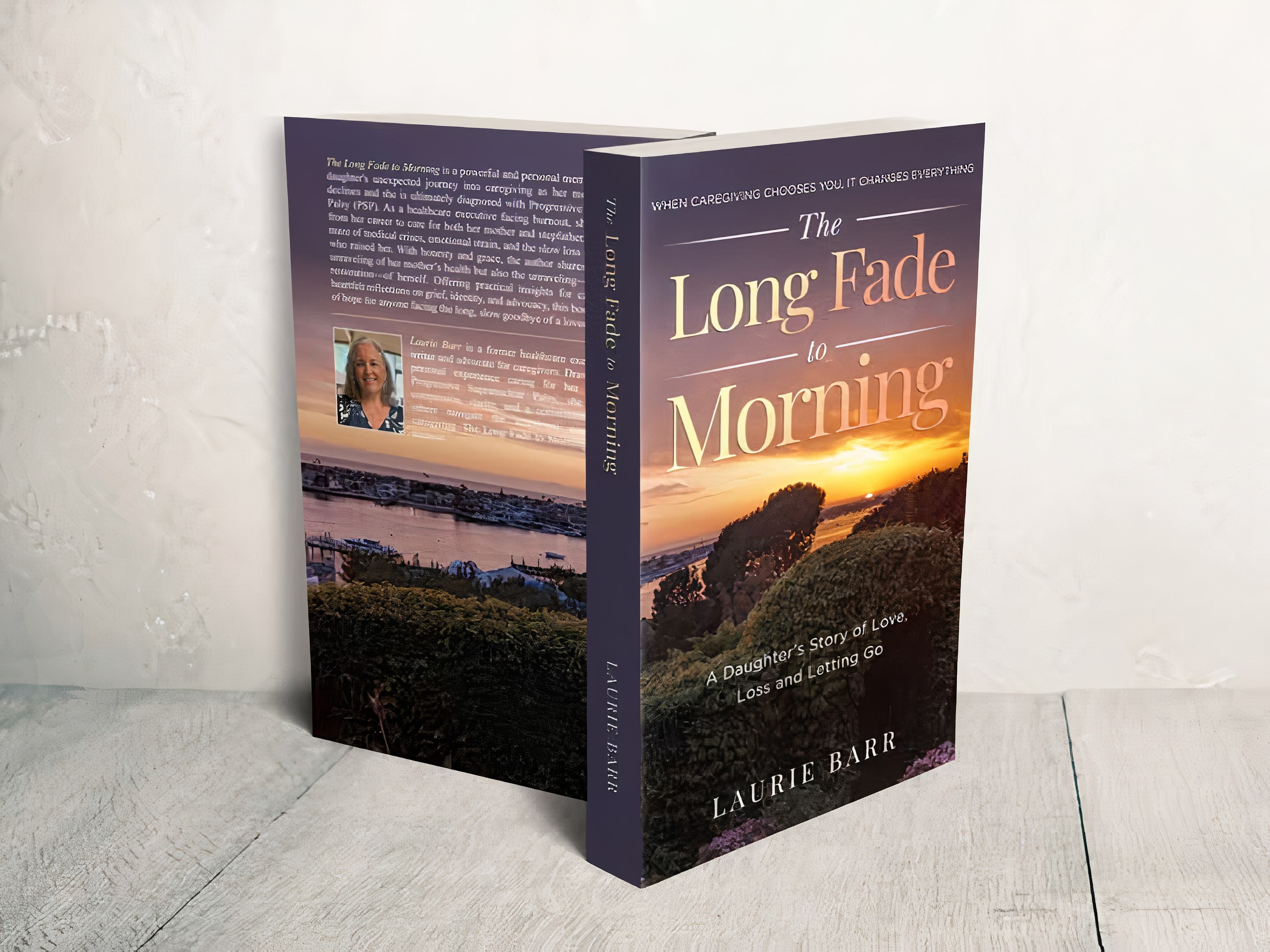 The Long Fade to Morning book cover